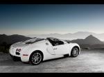 Bugatti Veyron 16.4 Grand Sport Roadster 2008 года